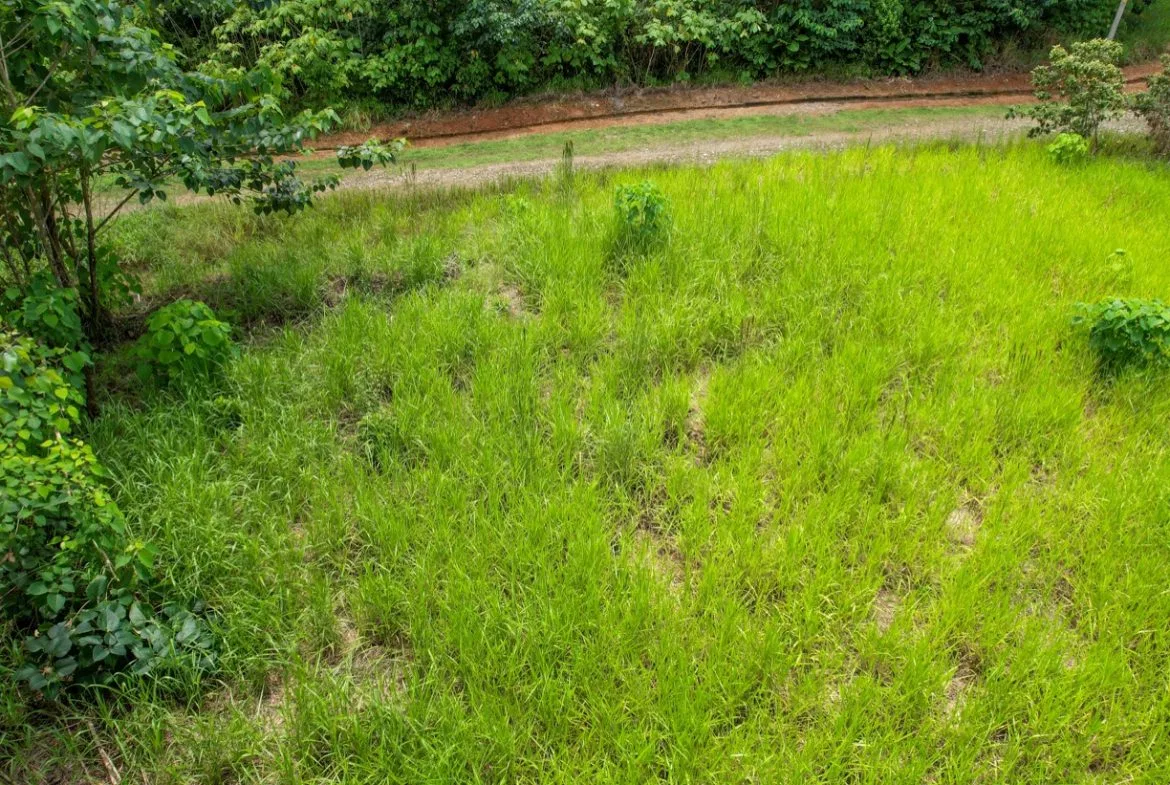 BUILDING PROPERTY WITH PUBLIC ROAD IN FRONT, IN OJOCHAL – 1.85 ACRES, photo 22