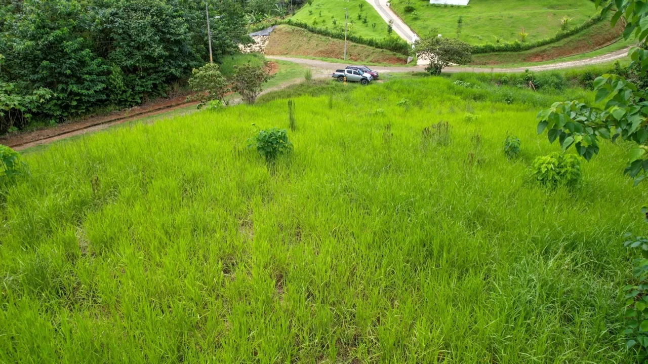 BUILDING PROPERTY WITH PUBLIC ROAD IN FRONT, IN OJOCHAL – 1.85 ACRES, photo 23