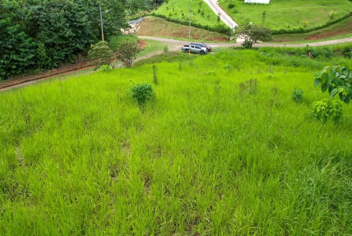 BUILDING PROPERTY WITH PUBLIC ROAD IN FRONT, IN OJOCHAL – 1.85 ACRES, photo 24