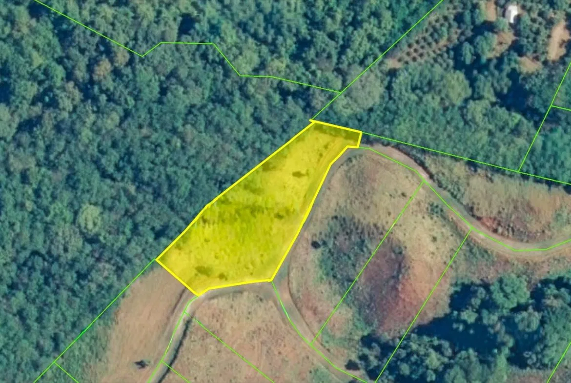 BUILDING PROPERTY WITH PUBLIC ROAD IN FRONT, IN OJOCHAL – 1.85 ACRES, photo 4