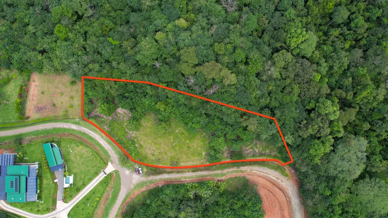 BUILDING PROPERTY WITH PUBLIC ROAD IN FRONT, IN OJOCHAL – 1.85 ACRES, photo 5