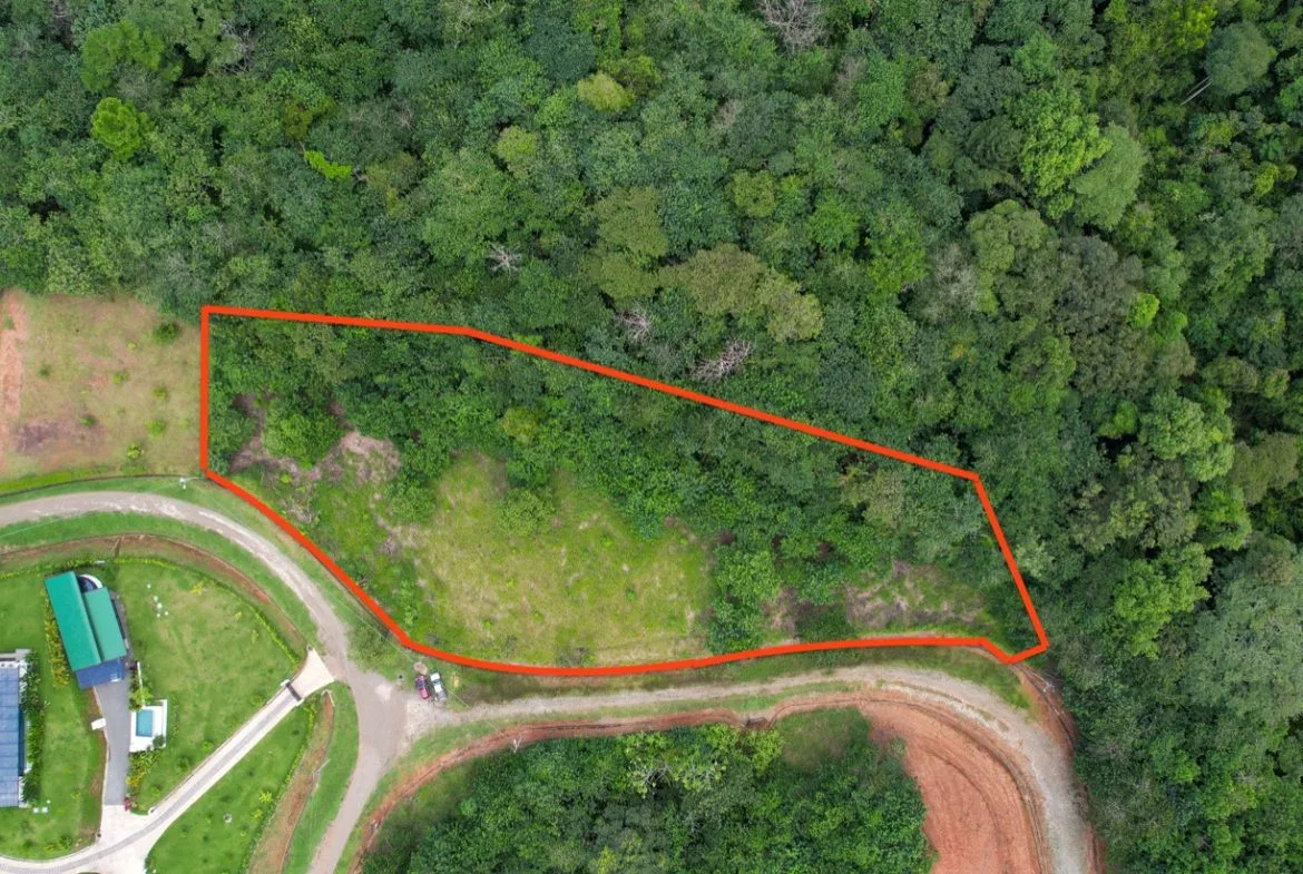 BUILDING PROPERTY WITH PUBLIC ROAD IN FRONT, IN OJOCHAL – 1.85 ACRES, photo 6