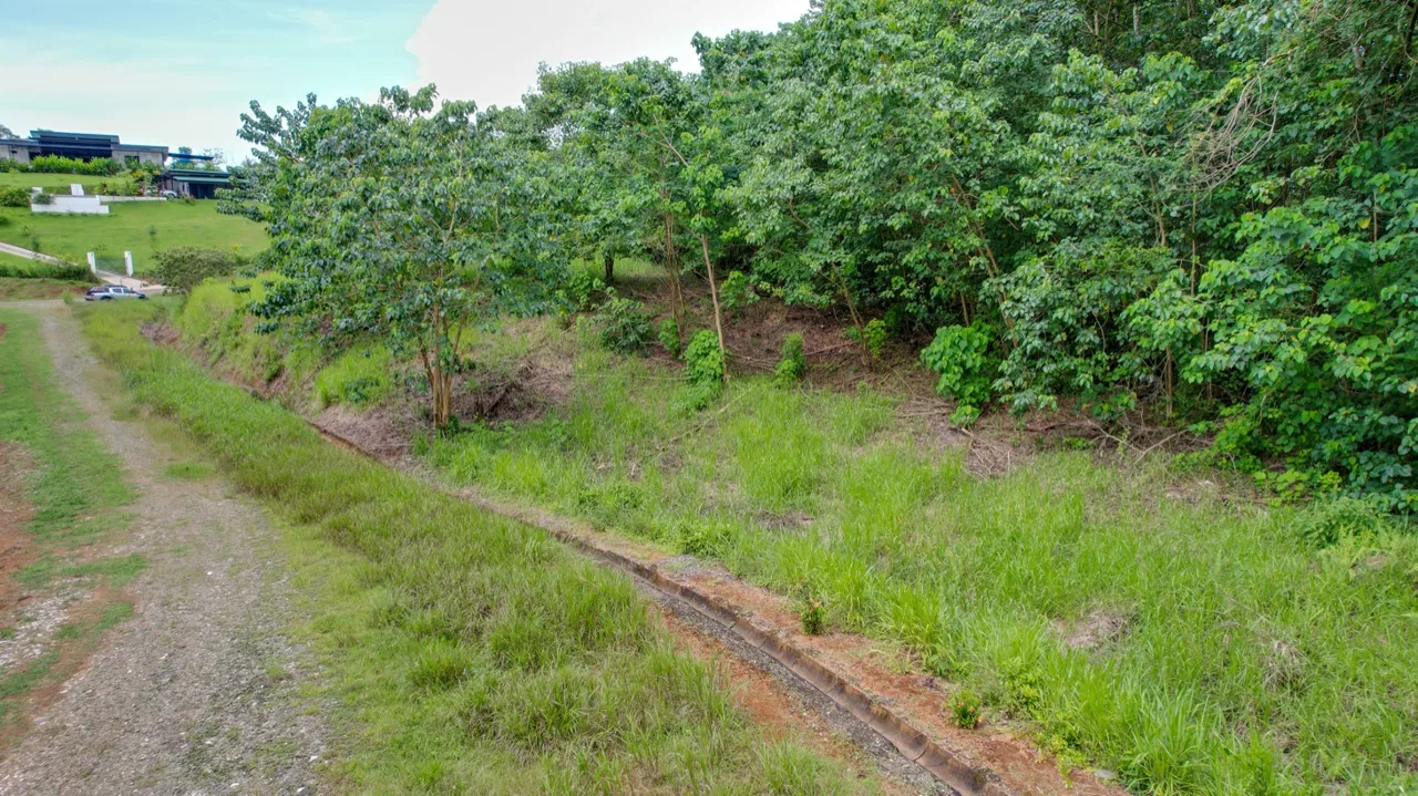 BUILDING PROPERTY WITH PUBLIC ROAD IN FRONT, IN OJOCHAL – 1.85 ACRES, photo 7