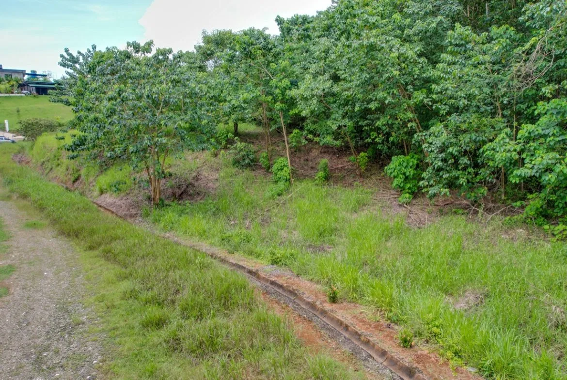 BUILDING PROPERTY WITH PUBLIC ROAD IN FRONT, IN OJOCHAL – 1.85 ACRES, photo 8