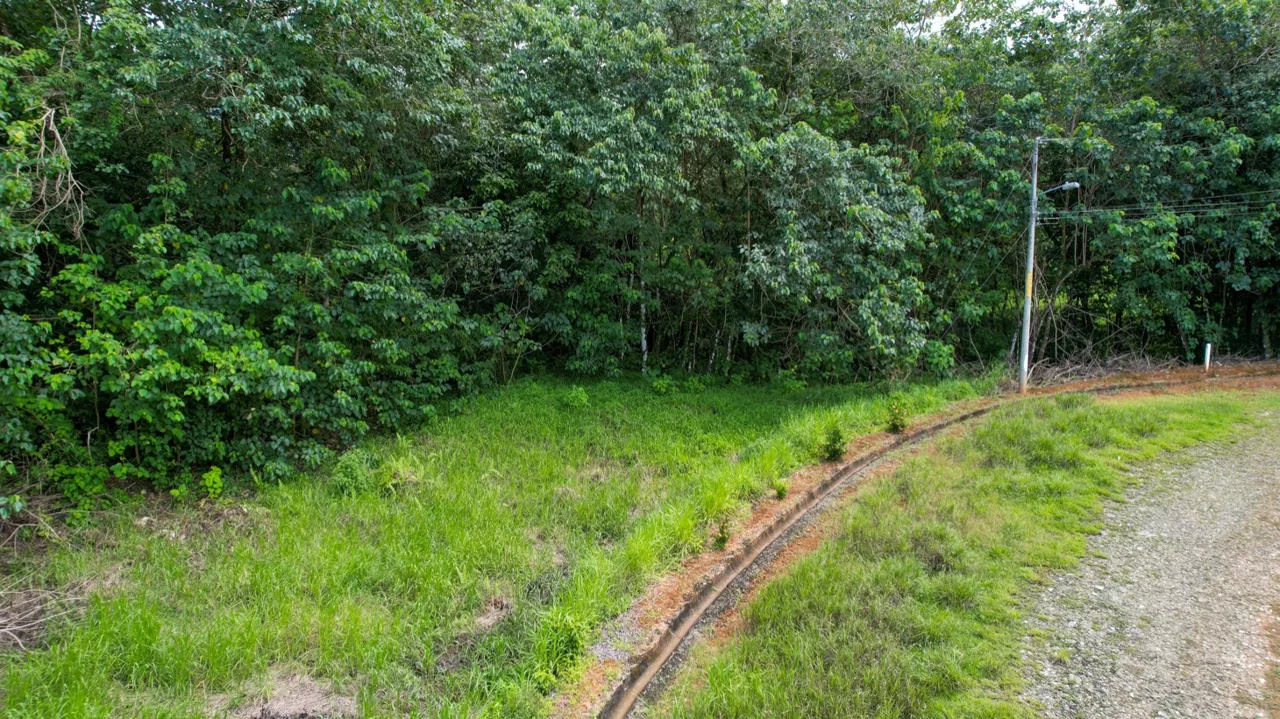 BUILDING PROPERTY WITH PUBLIC ROAD IN FRONT, IN OJOCHAL – 1.85 ACRES, photo 9