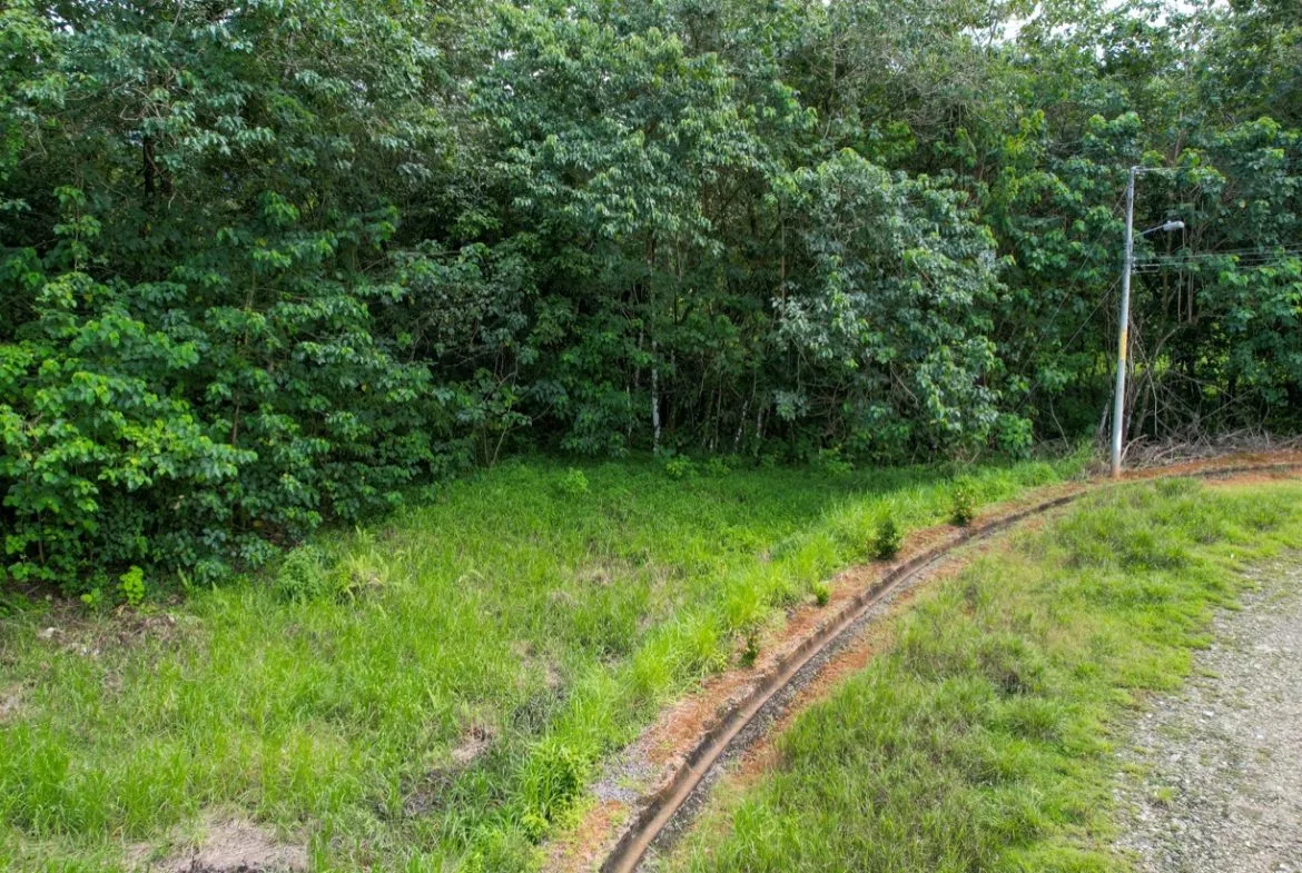 BUILDING PROPERTY WITH PUBLIC ROAD IN FRONT, IN OJOCHAL – 1.85 ACRES, photo 10