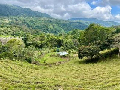 Gorgeous Land in San Luis Morete - Uvita - Over 17 Acres, photo 2
