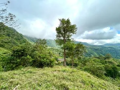 Gorgeous Land in San Luis Morete - Uvita - Over 17 Acres, photo 3