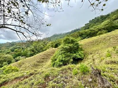 Gorgeous Land in San Luis Morete - Uvita - Over 17 Acres, photo 4