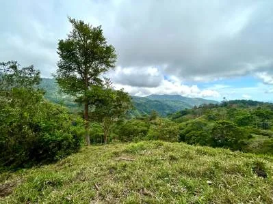 Gorgeous Land in San Luis Morete - Uvita - Over 17 Acres, photo 5