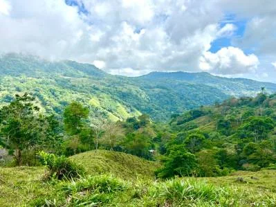 Gorgeous Land in San Luis Morete - Uvita - Over 17 Acres, photo 7