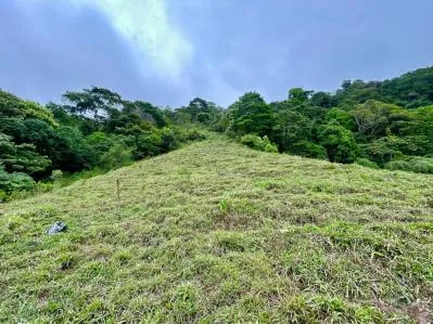 Gorgeous Land in San Luis Morete - Uvita - Over 17 Acres, photo 8
