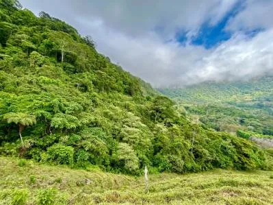 Gorgeous Land in San Luis Morete - Uvita - Over 17 Acres, photo 9