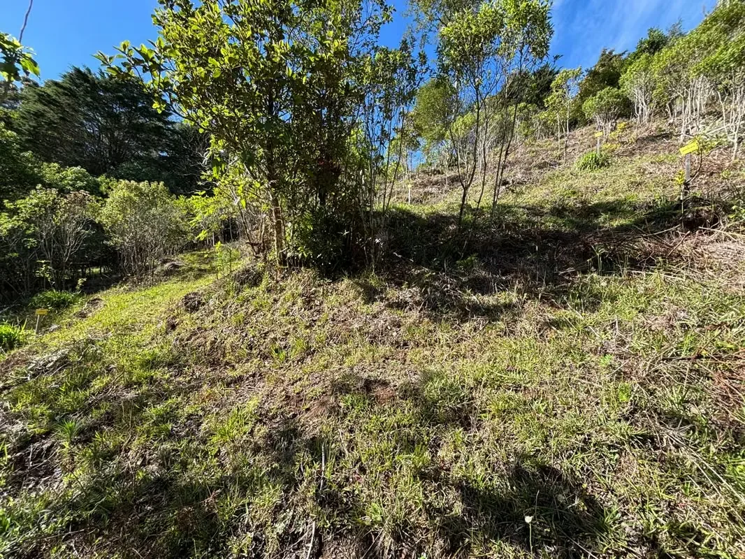 To get to the property, the last 1.8 km, more or less, is ballast, in good condition., photo 9