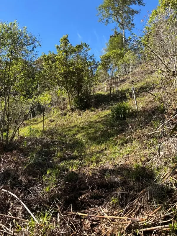 To get to the property, the last 1.8 km, more or less, is ballast, in good condition., photo 11