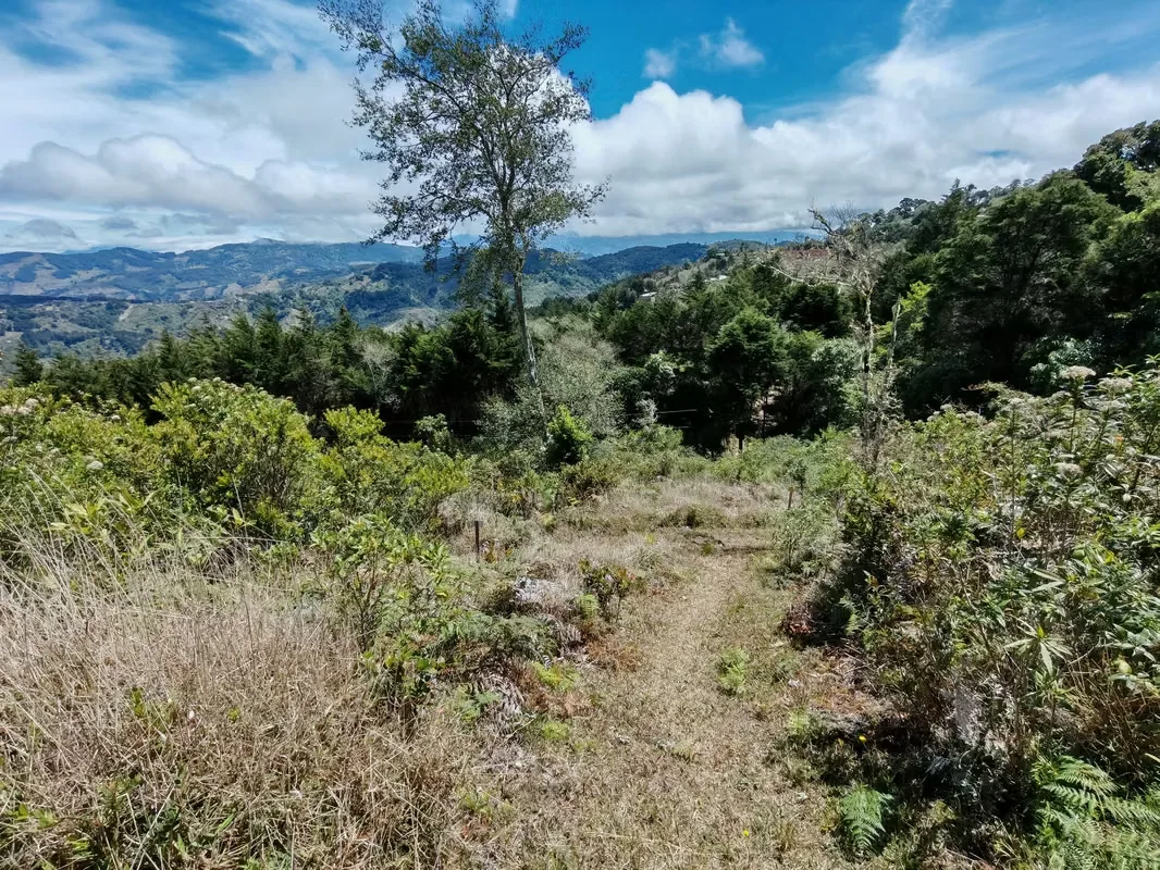 To get to the property, the last 1.8 km, more or less, is ballast, in good condition., photo 2