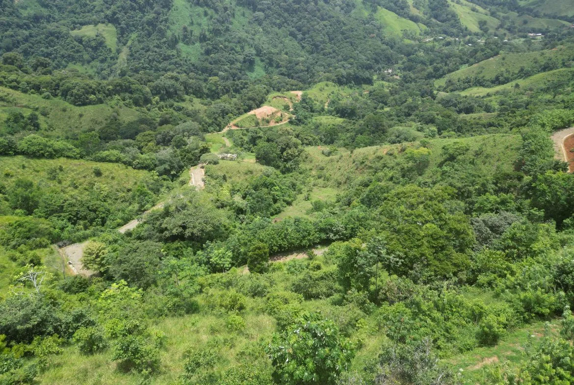 OCEAN & MOUNTAIN VIEW ESTATE WITH RIVER,CREEK, JUNGLE, PASTURE, AND DEVELOPMENT POTENTIAL NEAR DOMINICAL BEACH – 164.8-ACRE, photo 14