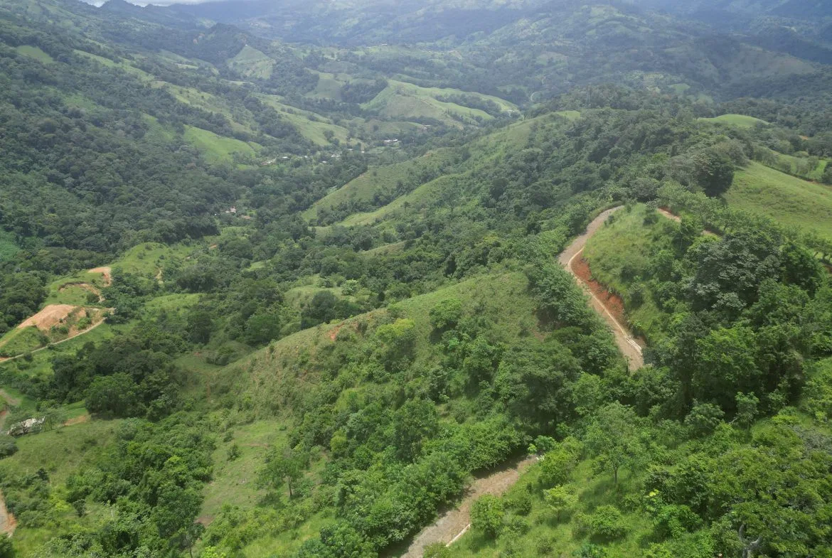 OCEAN & MOUNTAIN VIEW ESTATE WITH RIVER,CREEK, JUNGLE, PASTURE, AND DEVELOPMENT POTENTIAL NEAR DOMINICAL BEACH – 164.8-ACRE, photo 18