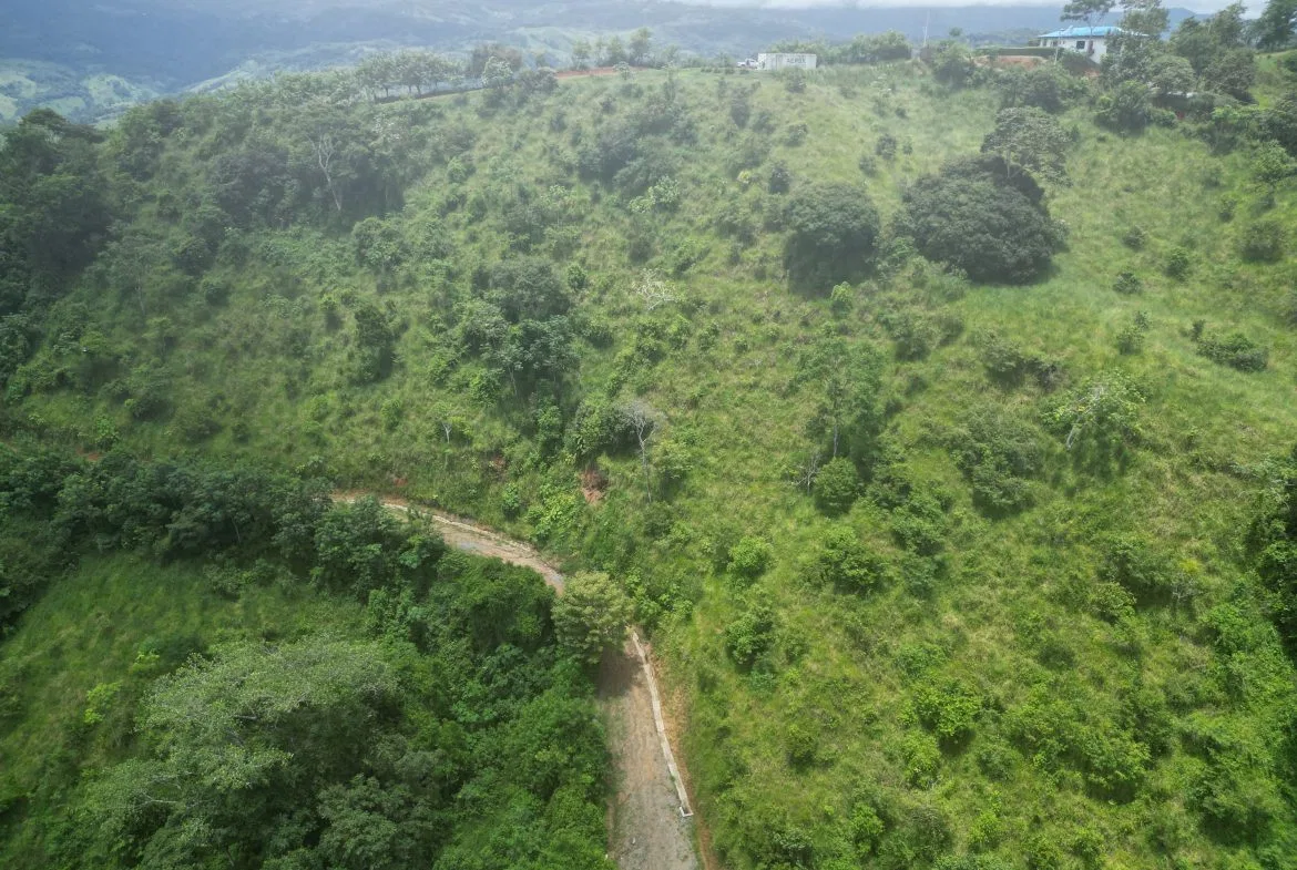 OCEAN & MOUNTAIN VIEW ESTATE WITH RIVER,CREEK, JUNGLE, PASTURE, AND DEVELOPMENT POTENTIAL NEAR DOMINICAL BEACH – 164.8-ACRE, photo 22