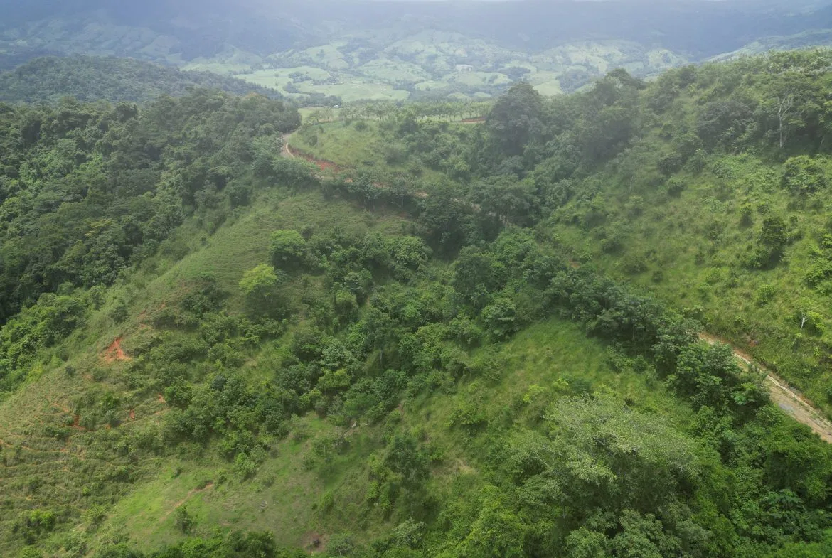OCEAN & MOUNTAIN VIEW ESTATE WITH RIVER,CREEK, JUNGLE, PASTURE, AND DEVELOPMENT POTENTIAL NEAR DOMINICAL BEACH – 164.8-ACRE, photo 24