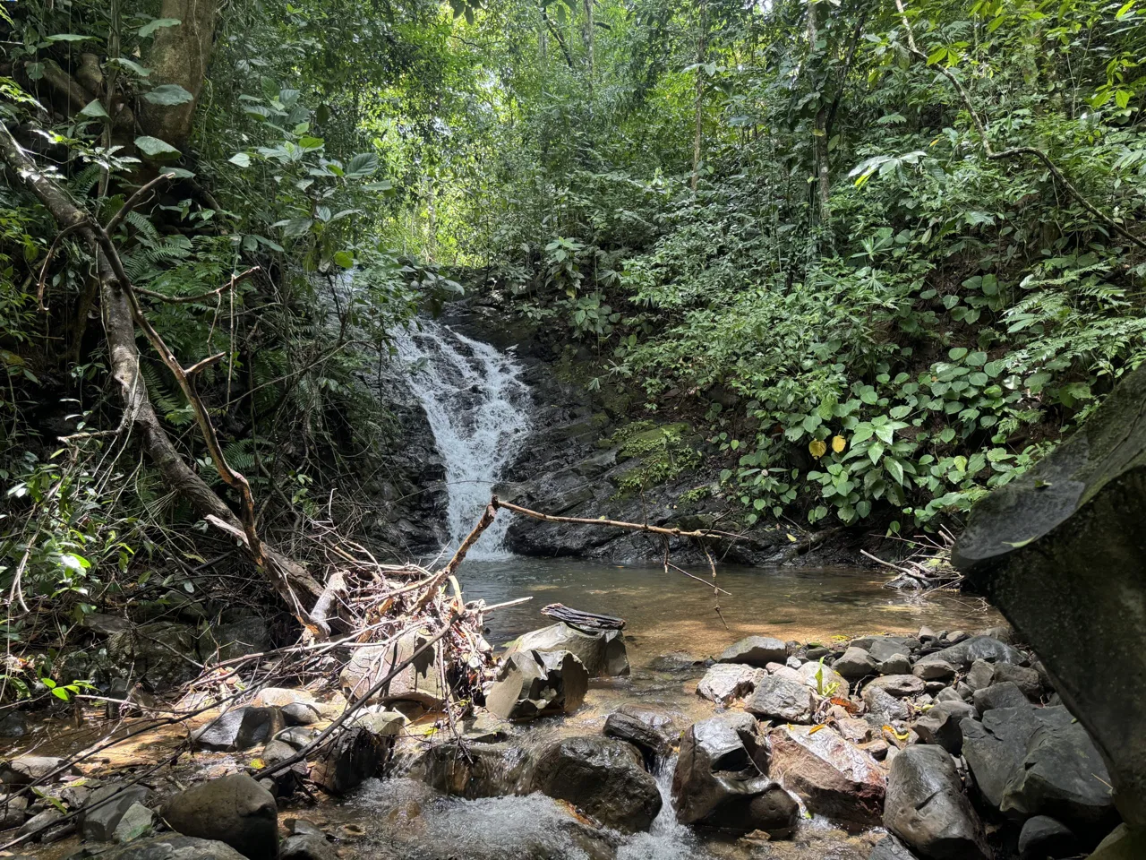 OCEAN & MOUNTAIN VIEW ESTATE WITH RIVER,CREEK, JUNGLE, PASTURE, AND DEVELOPMENT POTENTIAL NEAR DOMINICAL BEACH – 164.8-ACRE, photo 5