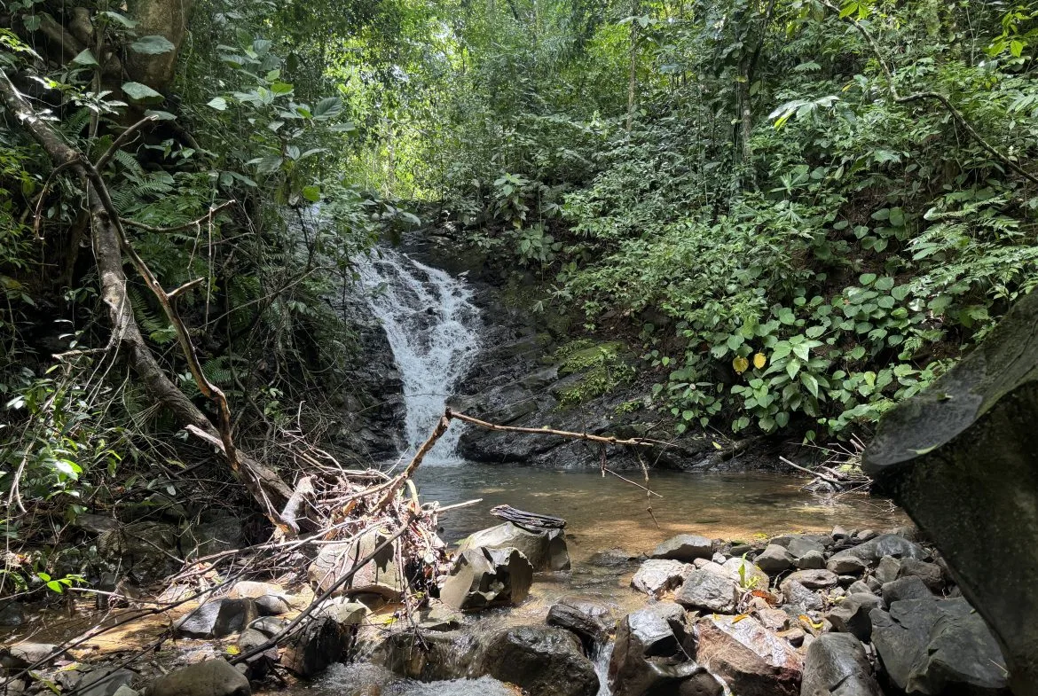 OCEAN & MOUNTAIN VIEW ESTATE WITH RIVER,CREEK, JUNGLE, PASTURE, AND DEVELOPMENT POTENTIAL NEAR DOMINICAL BEACH – 164.8-ACRE, photo 6