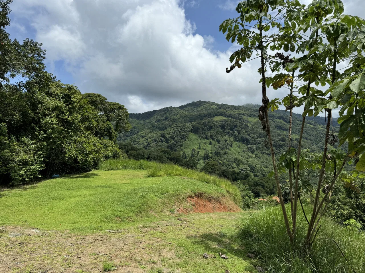 OCEAN & MOUNTAIN VIEW ESTATE WITH RIVER,CREEK, JUNGLE, PASTURE, AND DEVELOPMENT POTENTIAL NEAR DOMINICAL BEACH – 164.8-ACRE, photo 7