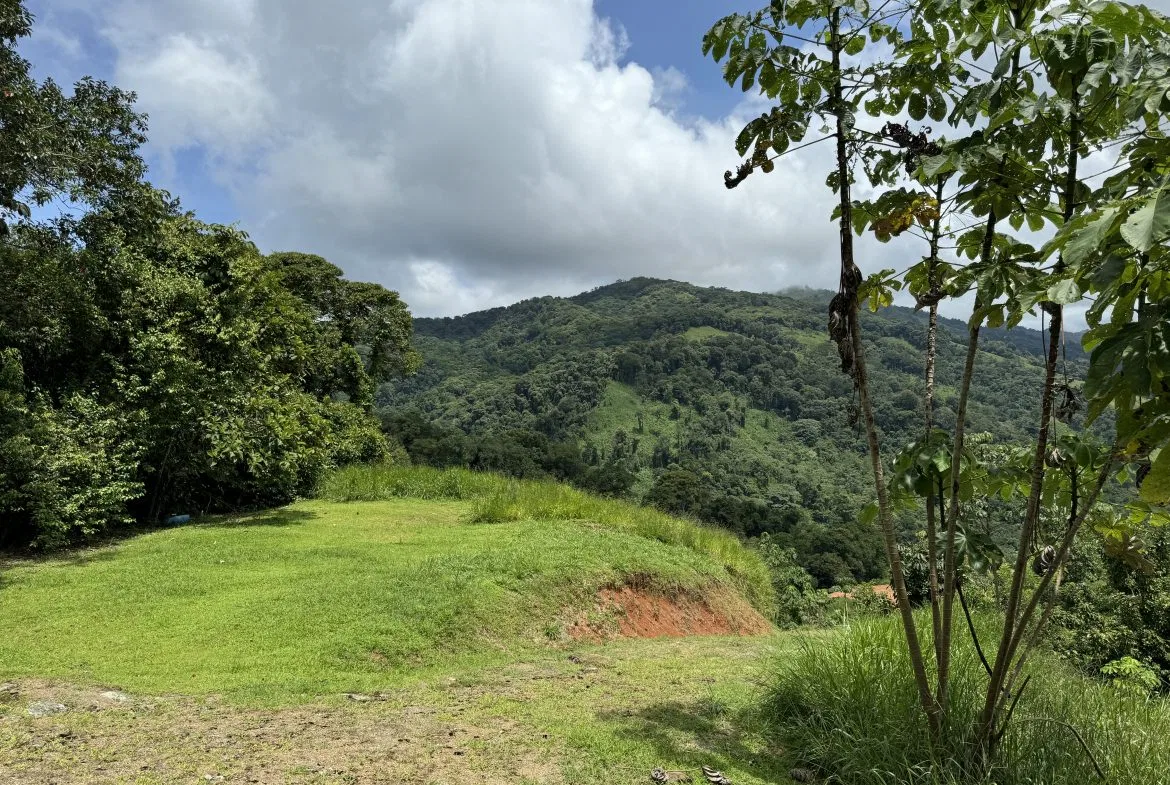 OCEAN & MOUNTAIN VIEW ESTATE WITH RIVER,CREEK, JUNGLE, PASTURE, AND DEVELOPMENT POTENTIAL NEAR DOMINICAL BEACH – 164.8-ACRE, photo 8