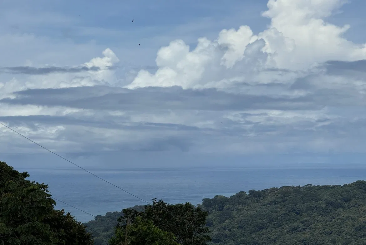 OCEAN & MOUNTAIN VIEW ESTATE WITH RIVER,CREEK, JUNGLE, PASTURE, AND DEVELOPMENT POTENTIAL NEAR DOMINICAL BEACH – 164.8-ACRE, photo 10
