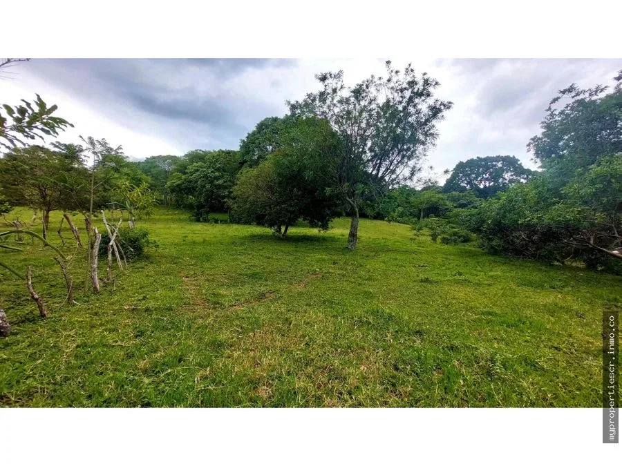 Finca uso industrial Piedades Santa Ana, photo 7
