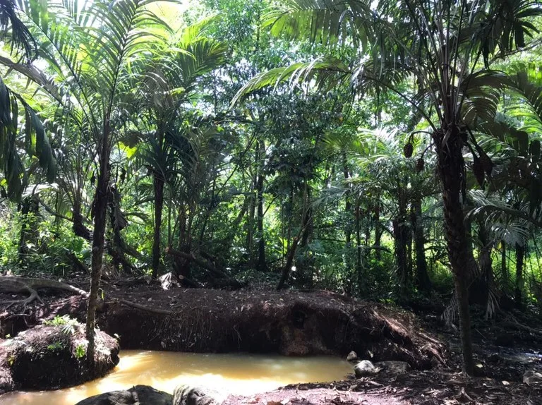 Development Parcel in Aguas Claras, photo 11