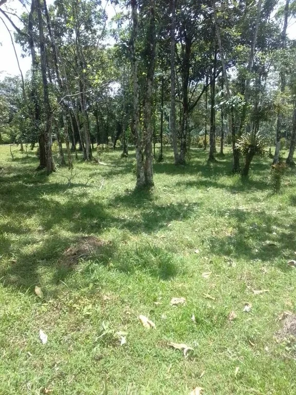 Development Parcel in Aguas Claras, photo 13
