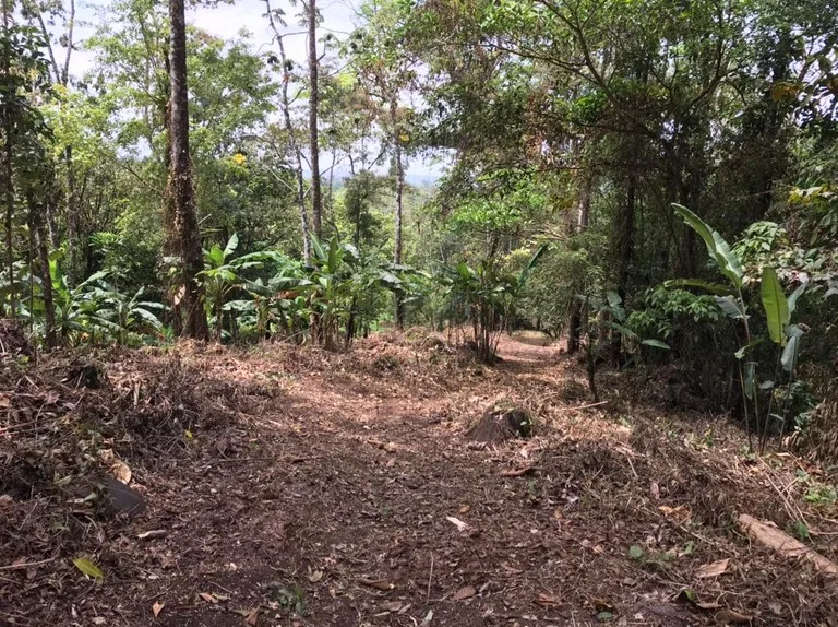 Development Parcel in Aguas Claras, photo 14