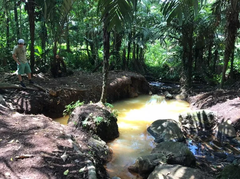 Development Parcel in Aguas Claras, photo 9