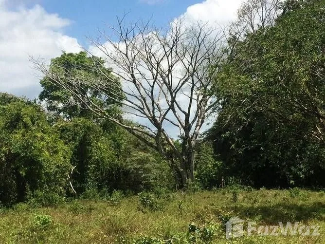 Land for Sale in Tilaran, Guanacaste for $639,000, photo 6