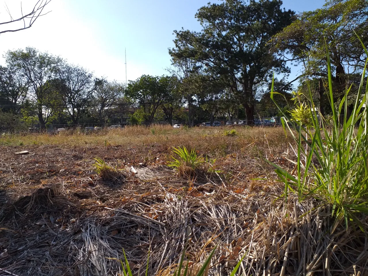 🏡 Terreno plano de 898 m²en Cariari, Heredia | a 50 m del Cariari Country Club 🏡, photo 6