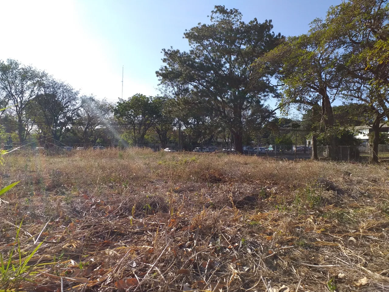 🏡 Terreno plano de 898 m²en Cariari, Heredia | a 50 m del Cariari Country Club 🏡, photo 7
