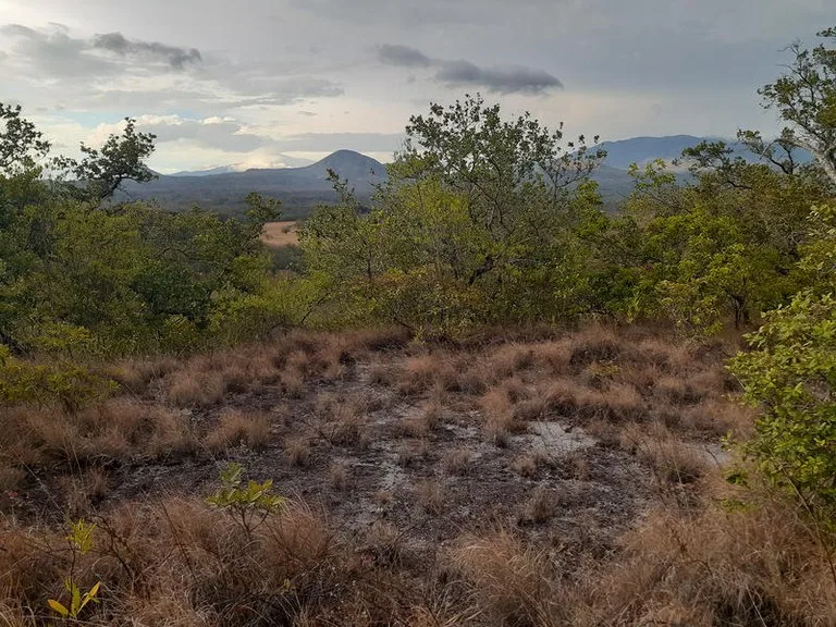 T37: Mountain Home Construction Site For Sale in Curubandé, photo 2