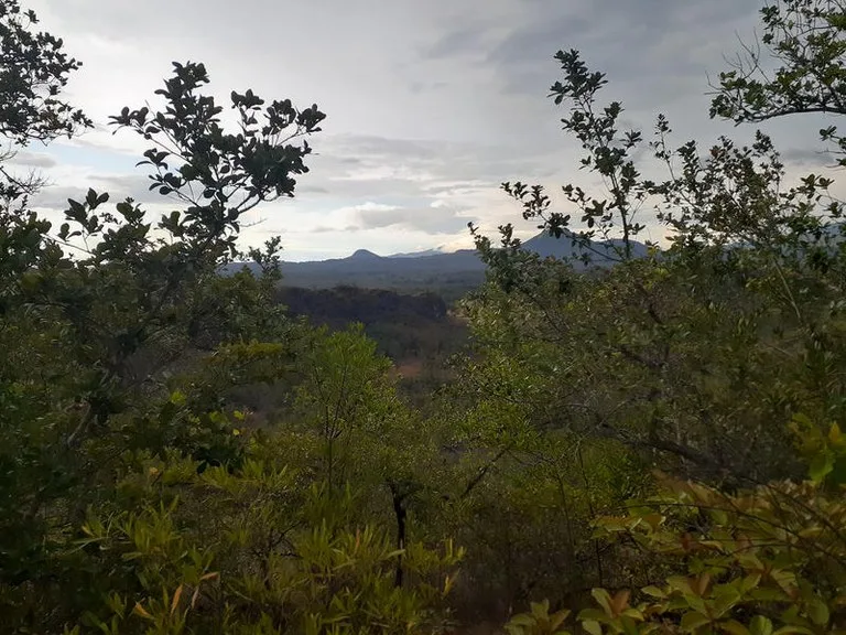 T37: Mountain Home Construction Site For Sale in Curubandé, photo 3