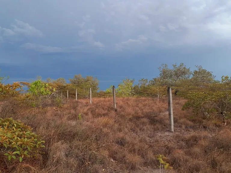 T37: Mountain Home Construction Site For Sale in Curubandé, photo 4