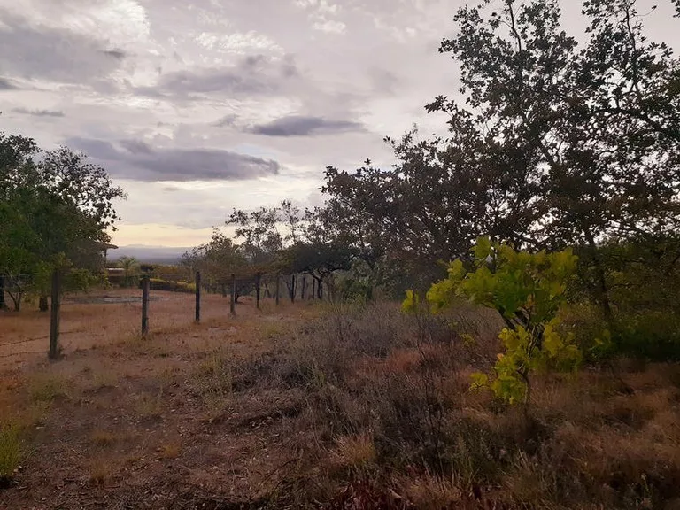 T37: Mountain Home Construction Site For Sale in Curubandé, photo 6