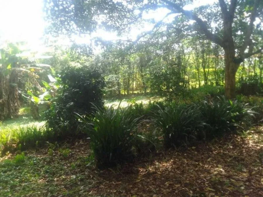 Venta de Lote en San Rafael, Heredia. RAH 25-246 - Venta en San Rafael, photo 11