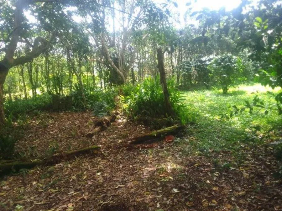 Venta de Lote en San Rafael, Heredia. RAH 25-246 - Venta en San Rafael, photo 12