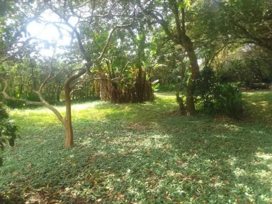 Venta de Lote en San Rafael, Heredia. RAH 25-246 - Venta en San Rafael, photo 4
