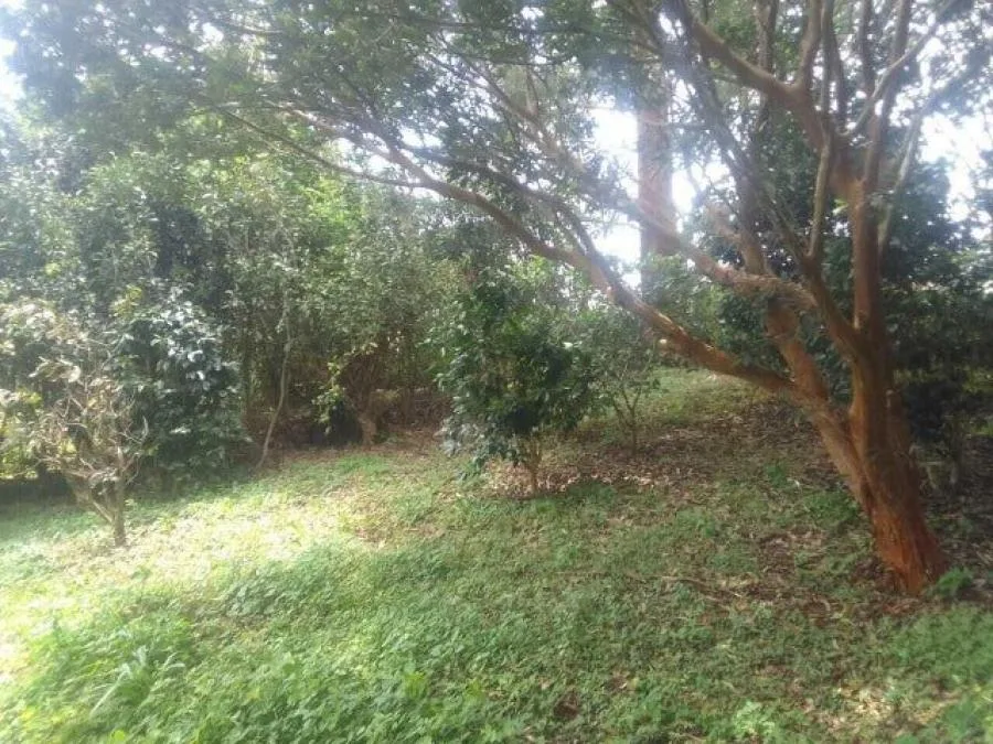 Venta de Lote en San Rafael, Heredia. RAH 25-246 - Venta en San Rafael, photo 5