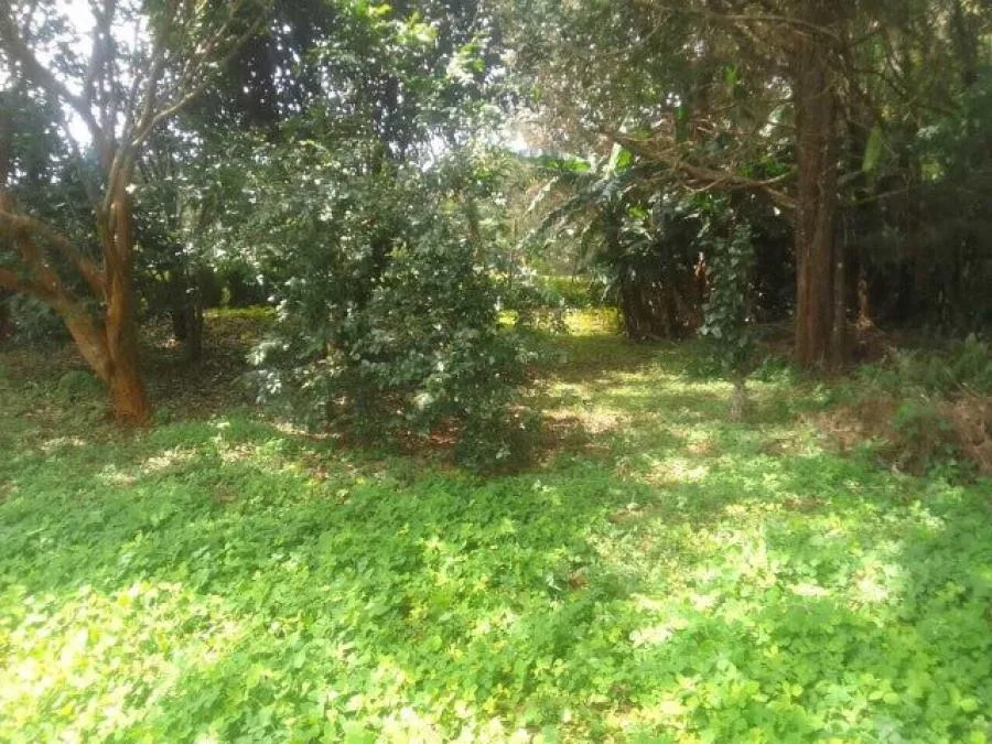 Venta de Lote en San Rafael, Heredia. RAH 25-246 - Venta en San Rafael, photo 6