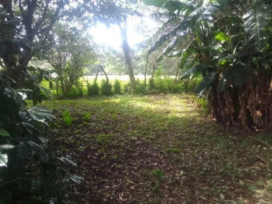 Venta de Lote en San Rafael, Heredia. RAH 25-246 - Venta en San Rafael, photo 8