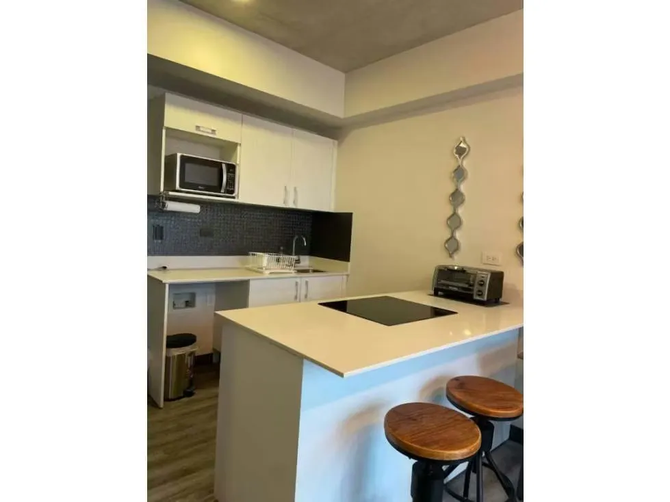 Venta de Apartamento Amoblado, Condominio Secrt Sabana, Mata Redonda, San José, photo 4