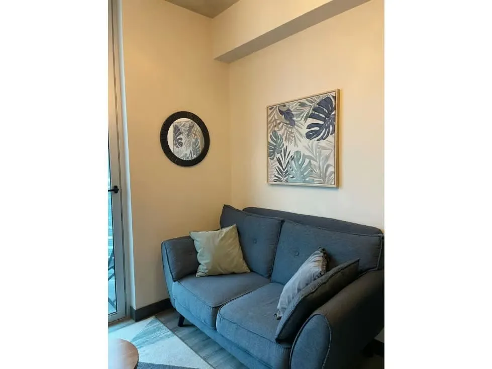 Venta de Apartamento Amoblado, Condominio Secrt Sabana, Mata Redonda, San José, photo 10
