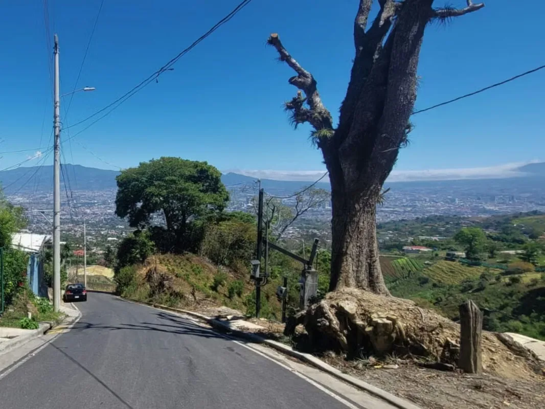 Propiedad de 8.900 m² en San Antonio de Escazú, con vistas panorámicas hacia la ciudad, naciente intermitente y dos casas actualmente alquiladas.